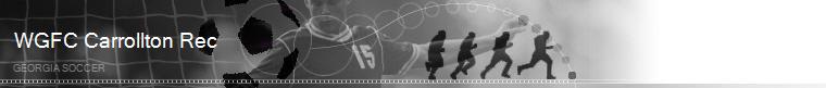 Georgia Soccer banner